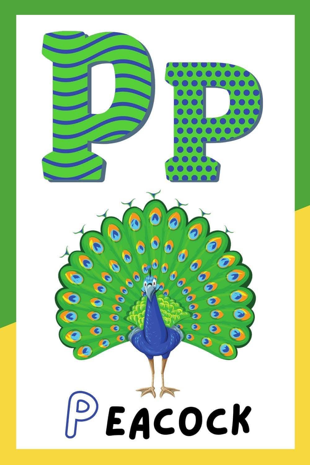 PEACOCK